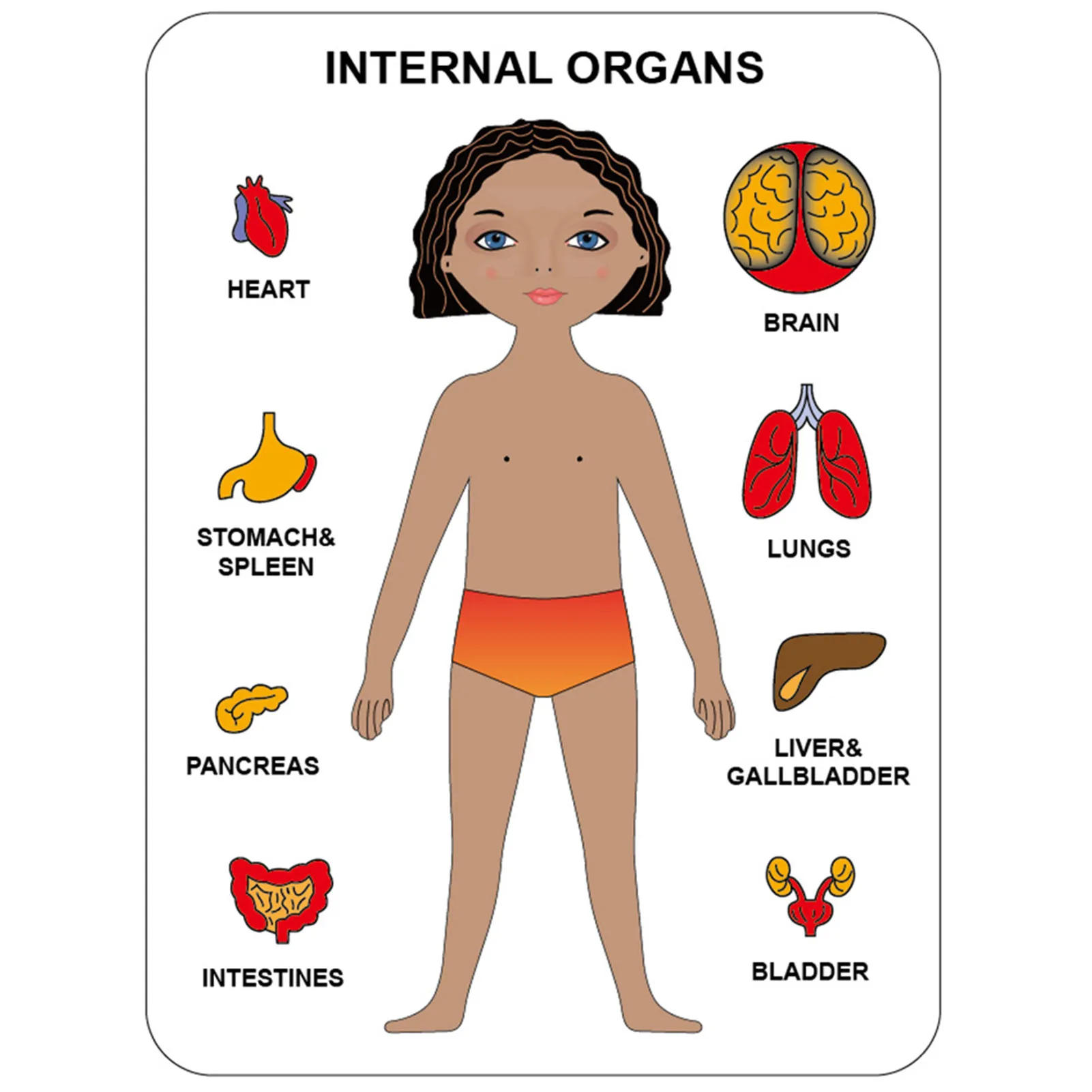 

Wooden Puzzles for Toddlers Human Body Model Puzzles Play Set Learning Educational Preschool Toys