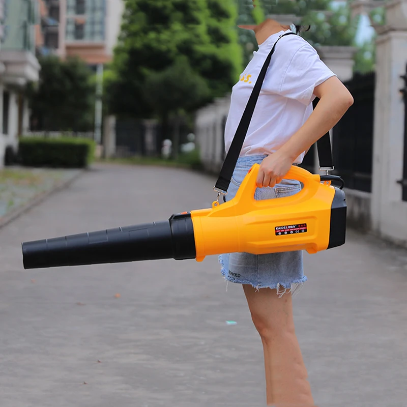 Portable Household Electric Cleaning Garden Air Blower Leaf Dust Collector 220V/5200W