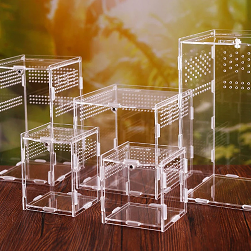 Transparent Acrylic Reptile Terrarium Breeding Box Turtle Cage Nano  Arboreal Tarantula Enclosure Dearded Dragon Accessories - AliExpress