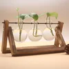 Terrarium Creative Hydroponic Plant Transparent Vase, Wooden Frame, Glass Tabletop, Bonsai Decor, Flower Vase 2