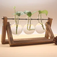 Terrarium Creative Hydroponic Plant Transparent Vase, Wooden Frame, Glass Tabletop, Bonsai Decor, Flower Vase 2