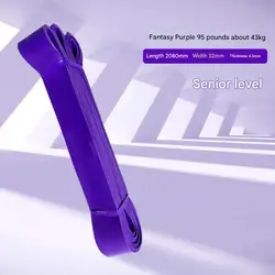 Premium Heavy - Duty Latex Resistance Bands (Purple)