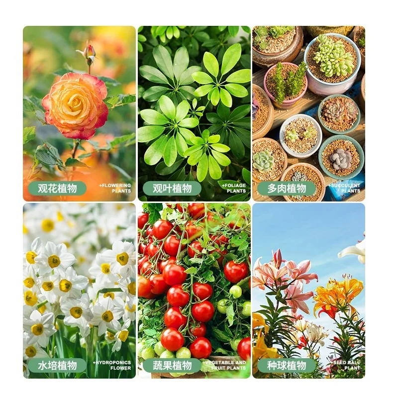 Fertilizer 20g NPK Compond Fertilizer All Purpose Plant Food Safe Feed Vegetable Garden Pot Planting Flower
