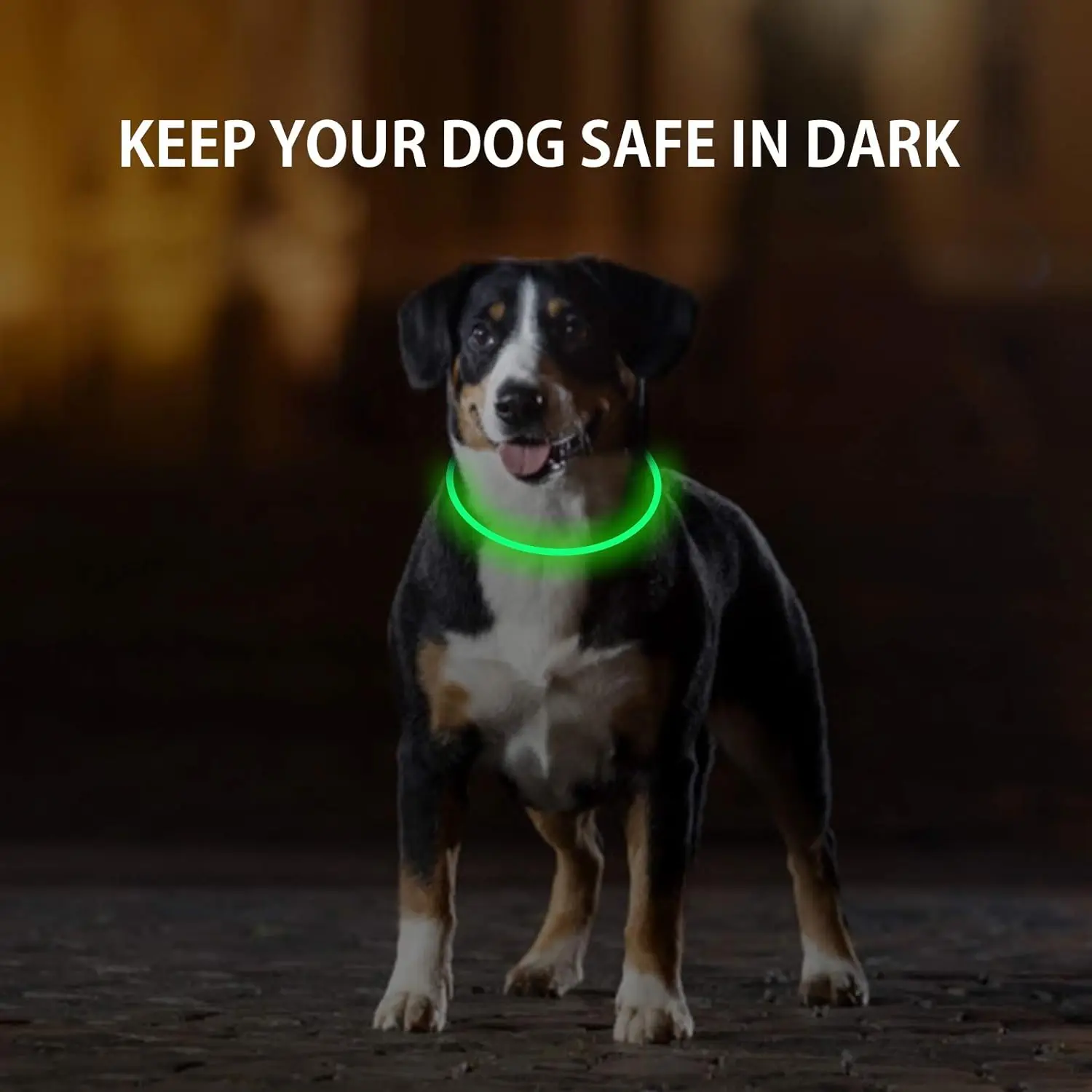 Dog Light Up Collar LED Collar Light Up Cat USB Rechargeable Christmas Decoration Pet Pet Christmas Gifts