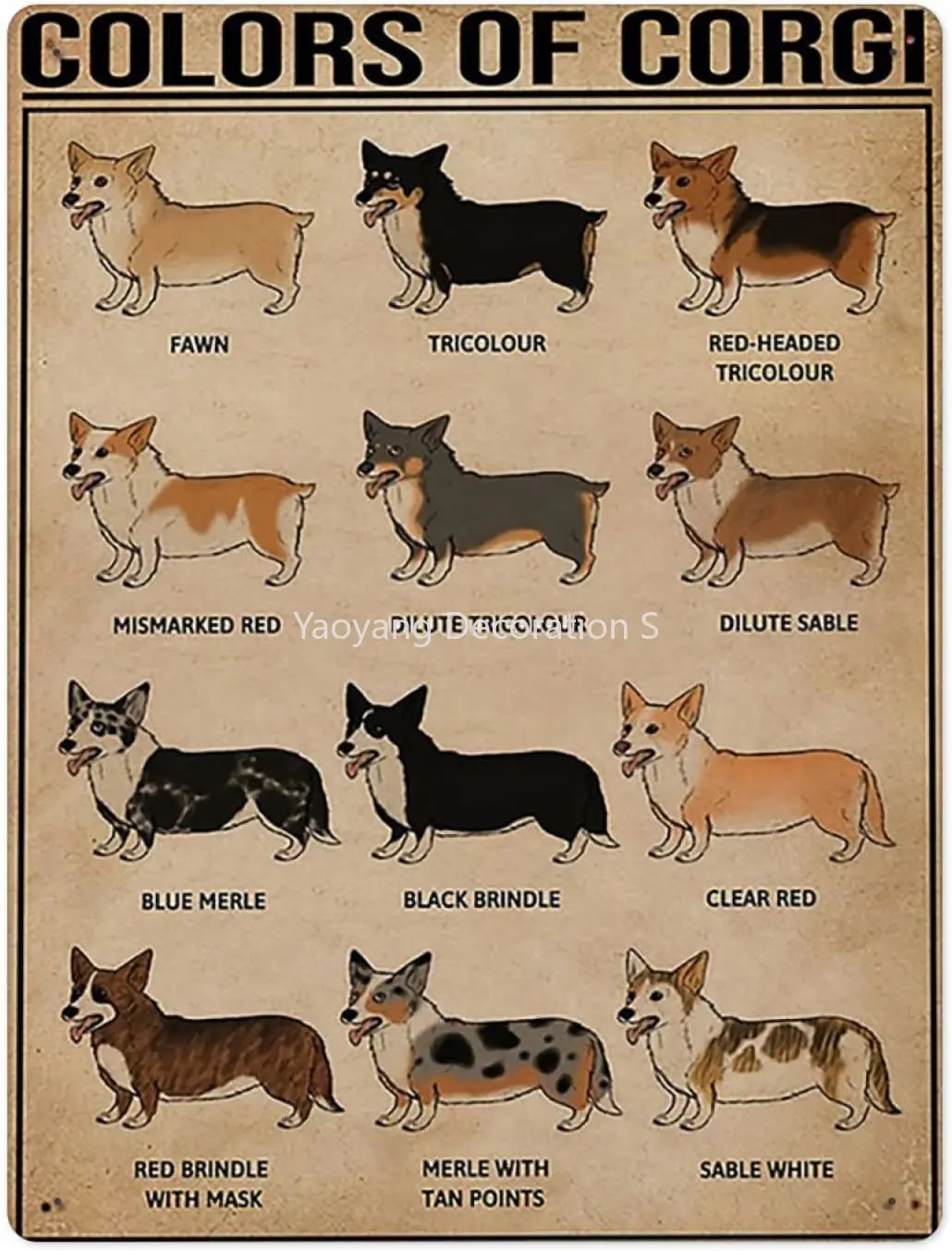 

Corgi Tin Signs Knowledge Animal Wall Decoration Poster Home Kitchen Infographic Restaurant Cafe Art Metal Sign Retro
