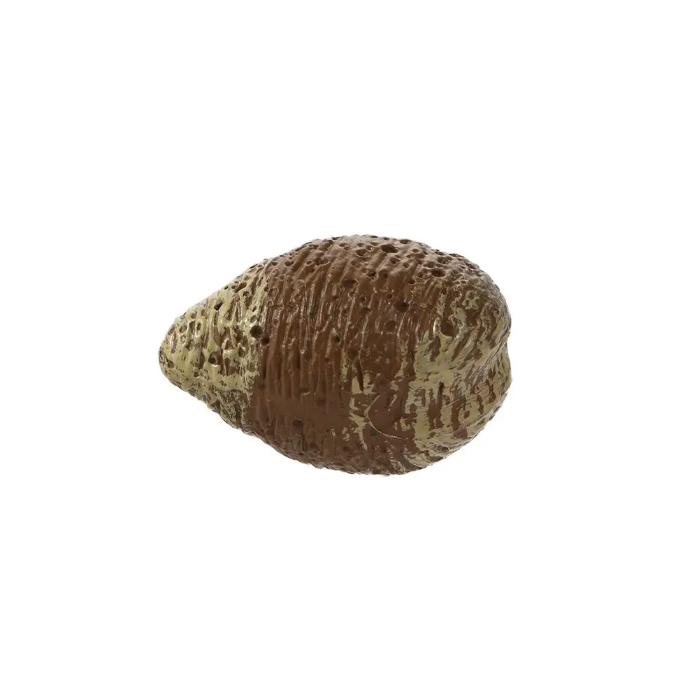 Realistic Early Educational Kids Cognitive Snail Growth Cycle Life Cycle Figures Cycle Mantis Figurine Praying Mantis Toy