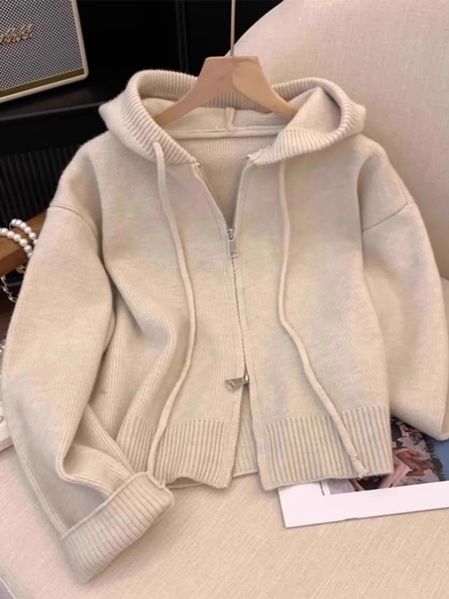 Ladies' Loose Lazy Hooded Knitwear Cardigan Spring Autumn Outerwear Long Sleeve Comfortable Fit Casual Sle Commute