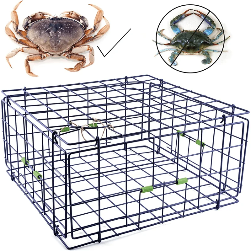 

Danielson 24" Fold-Up Pacific Crab Trap Deluxe | Pacific Northwest | Vinyl-Coated Steel Wire | Foldable for Easy Storage