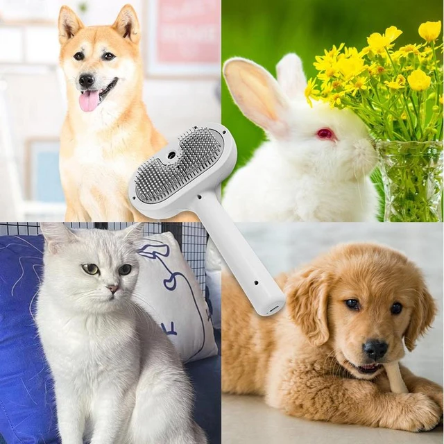 Dogs Grooming Cleaning Supplies  Dog Cat Grooming Products - Pet Beauty  Health Dog - Aliexpress