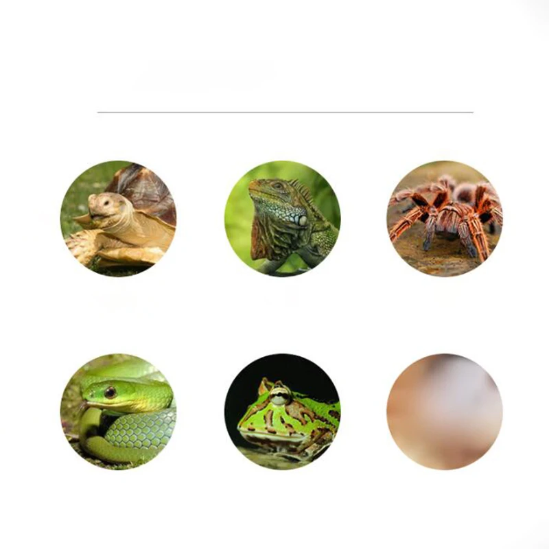 Title 5, E27 25/50/75W UVA Heat Lamp Pet Reptile Heating...