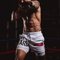 Men's Muscle Fitness Sports Shorts Quick Drying Breathable Short Pants Summer Running Training Male Workout Boxing Casual Shorts 1