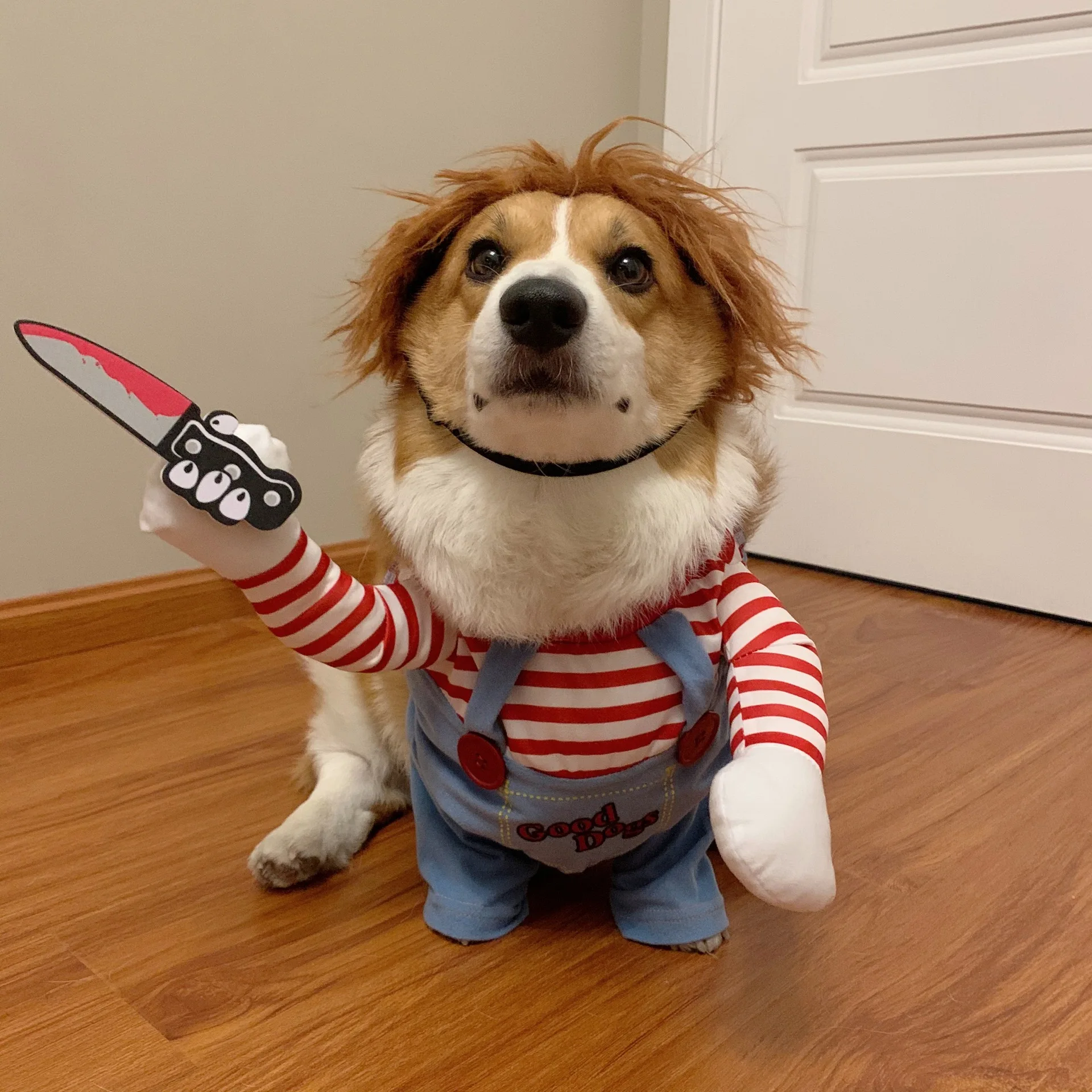 Dog Costume Set Pet Halloween Costume Dog Clothing Chucky Jumpsuit Dog Deadly Doll Cosplay Funny Party Costume Clothes for Small Medium Dogs