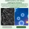 35pc Fish Tank Water Purification Tablet Rapid Chlorine Removal Long Term Durability Powerful Aquarium Water Purification Tablet 5