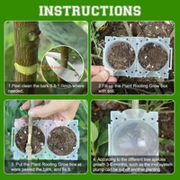 10Pcs Plant Growbox Grow Pots Reusable Propagation Root Growing Box Cuttings Grafting Gardening Seedling Pot Rooting Ball 6
