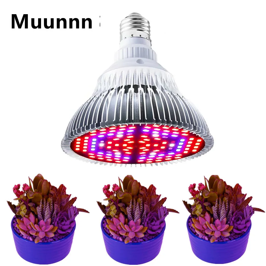 Lampe horticole de croissance hydroponique LED, E27, E14, phytolampe à