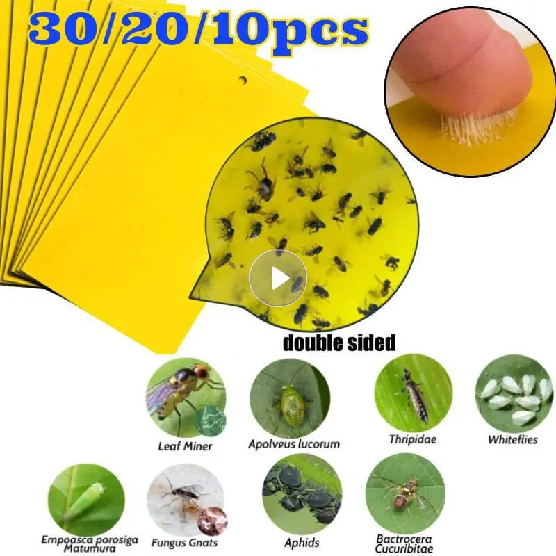 Forte Appiccicoso Fly Pest Trappole Bordo All'Aperto Pianta Insetto Catcher Dual-Sided Sticky Board Serra Pest Control Insetticida Strumento