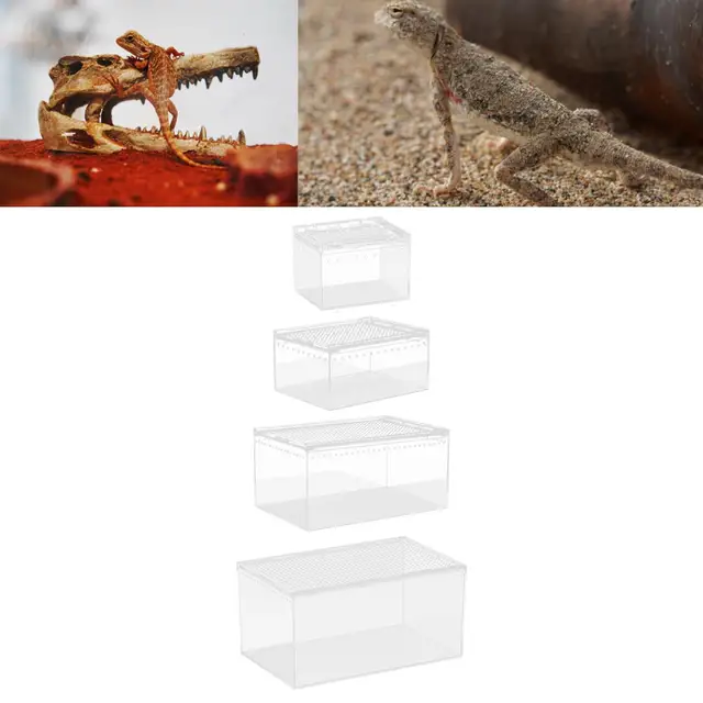 Reptile Feeding Box Animal Habitat Cage Transparent Reptile Terrarium Enclosure Cage for Chameleons Hermit Crabs Container 2