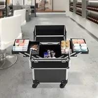 Professional Travel Makeup Case Beauty Train Case Rolling Cosmetic Organizer New 2