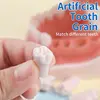 Kilgore NISSIN 200 Type Dental Teeth Models for Typodont Removable Frasaco Columbia Dentoform Teeth Model 2