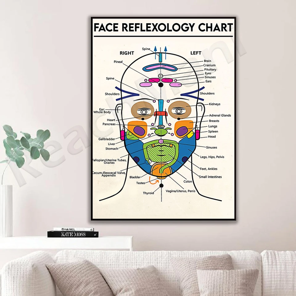 Affiche Tableau De Réflexologie Faciale - Schéma Détaillé Anatomie Du Visage - Impression Toile Pour Décoration Murale Clinique Ou éducation