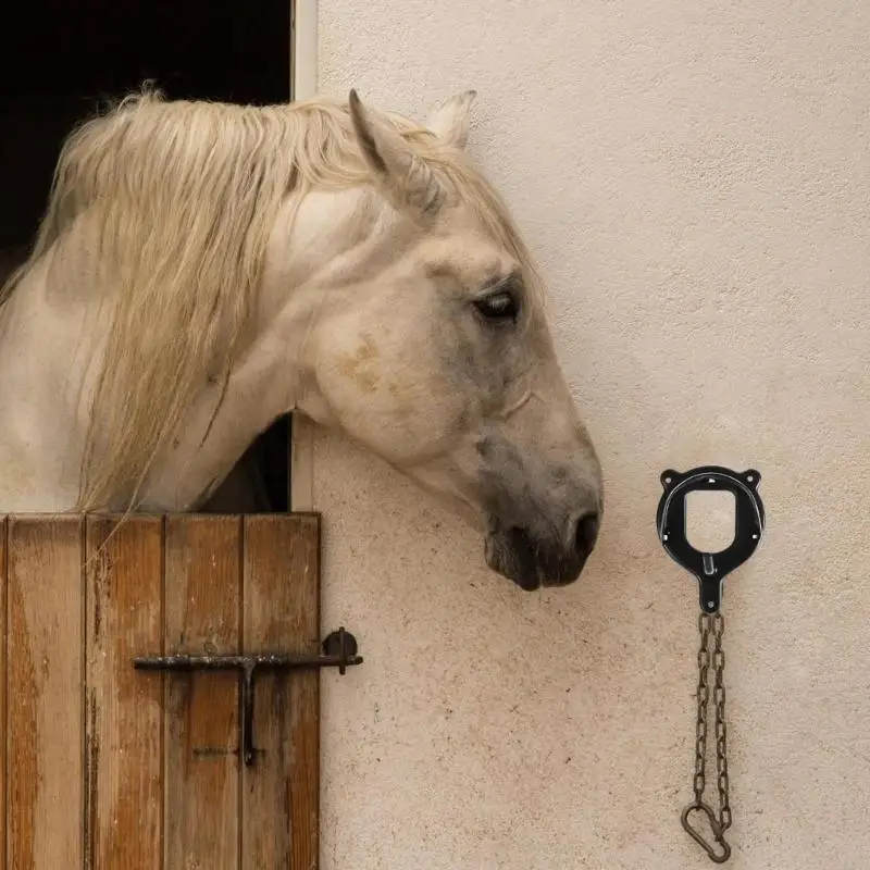 Horse Bridle Holder 3