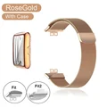 RosGold Band Case
