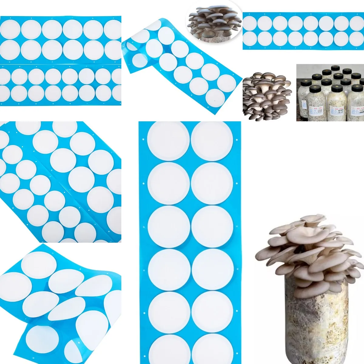 Synthetic Filter Paper Stickers 76.2mm 59mm 0.22 &mu;m Filter Disc Mushroom Applied Under for Mushroom Cultivation