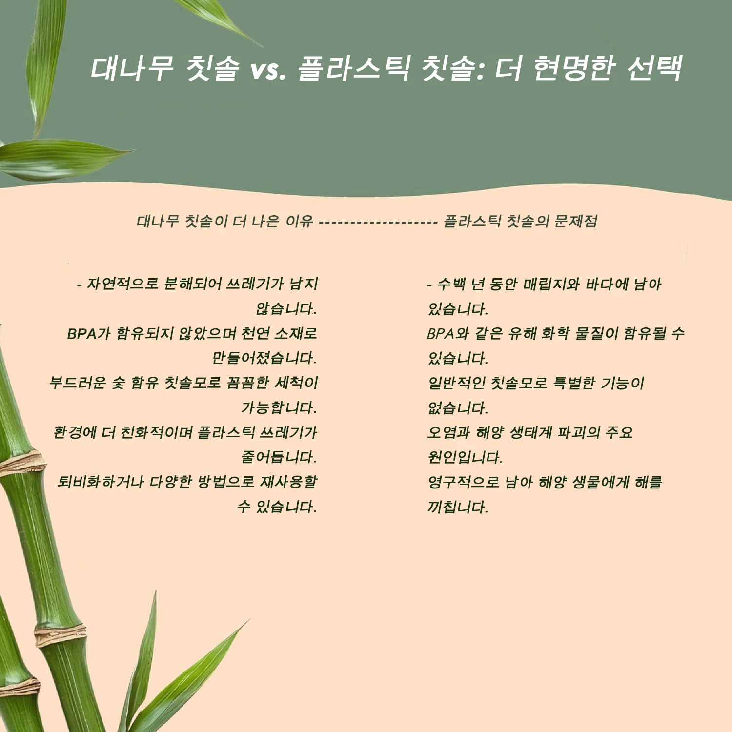 1/4개 대나무 칫솔 - BPA 프리 부드러운 칫솔모 칫솔, 친환경 천연 나무 칫솔 생분해성 칫솔모