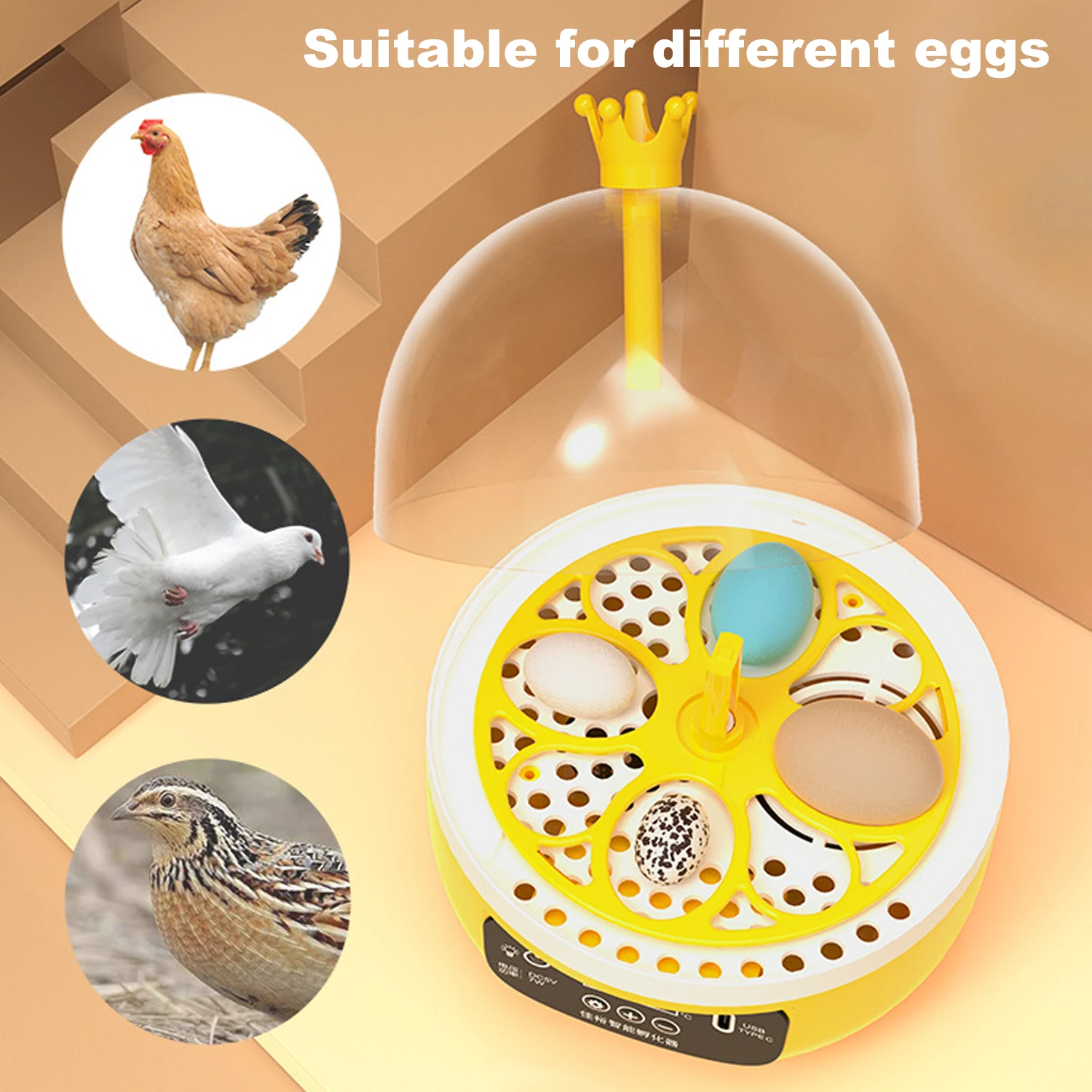 自動孵卵器 インキュベーター 入卵個 鳥類専用孵卵器 検卵ライト