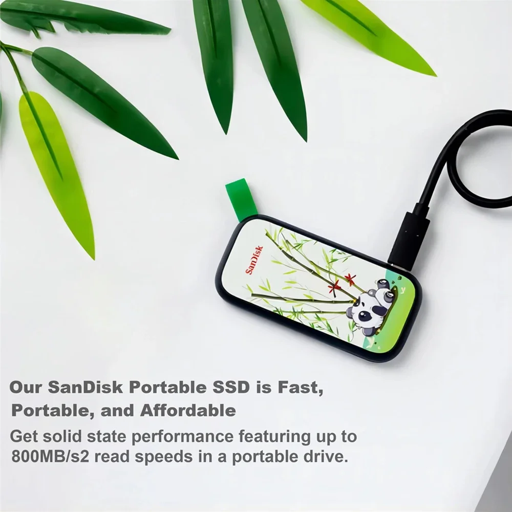 Ʈ ũž ޴ SanDisk SSD E30,  ָ Ʈ SSD, USB3.2 Gen 2 ϵ ̺, A Ÿ, 800 MB/s Ҵ Ÿ SSD