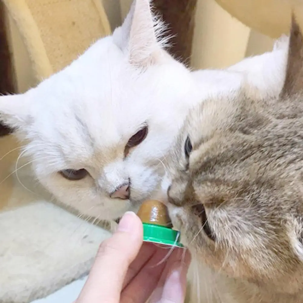 Healthy Cat Snacks Catnip Sugar Candy Licking Energy Nutrition Toys Ball
