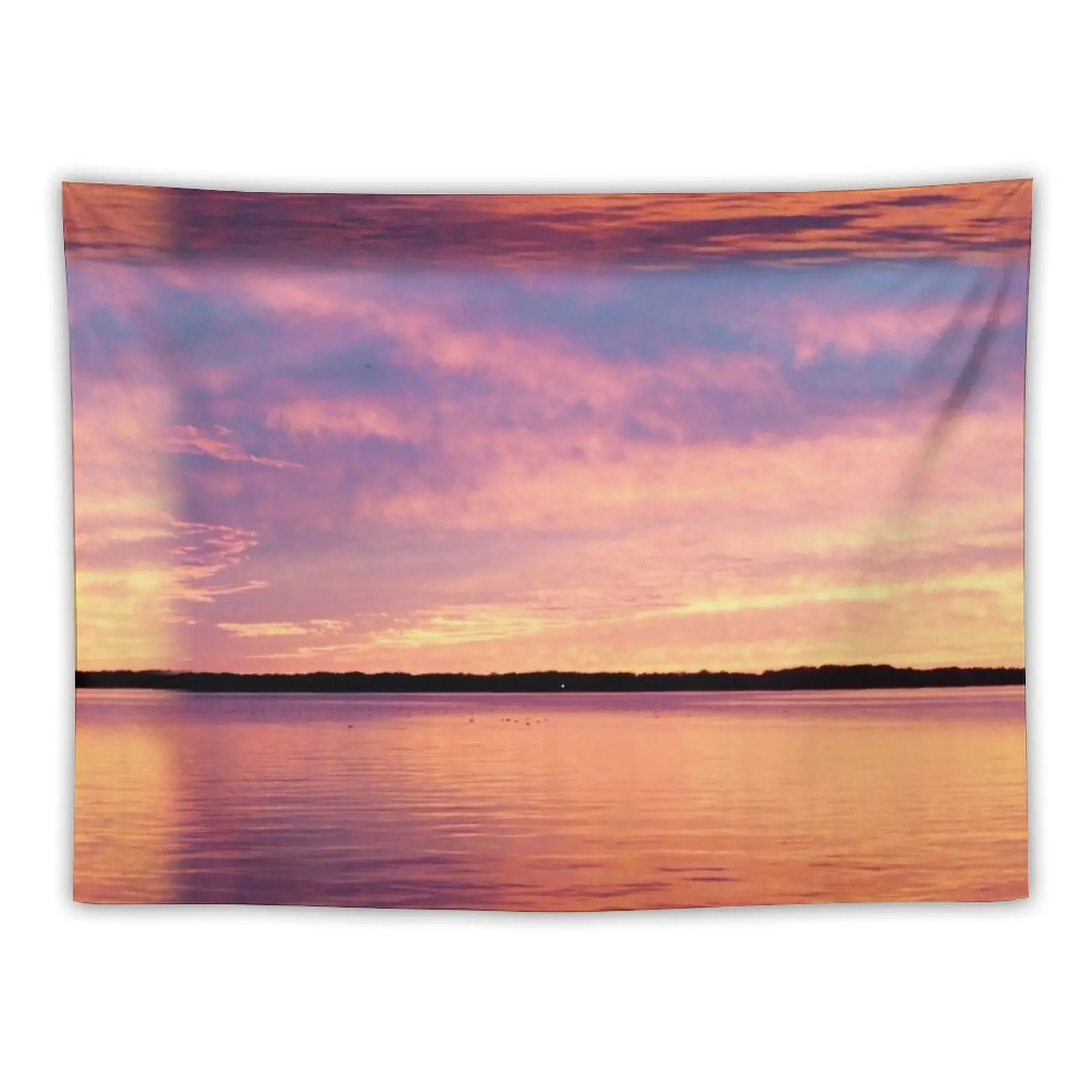 

Golden Pink Lake Erie Sunset Tapestry Cute Room Decor Cute Room Things Tapestry