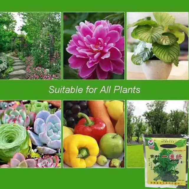 20 G Növényi Ételek A Sárga Levelek Kezelésére Táplálkozási Növény Bonsai Beteg Kerti Szórólapok Ellenőrzése Levelekhez J2D9 - Image 4