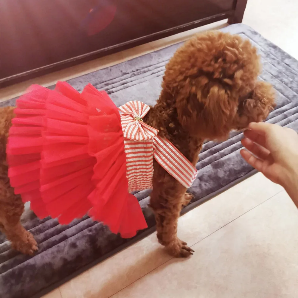 Gatos Ropa Para Perritas Poodle Vestido De Malla A Rayas Para