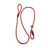 Nylon Pet Leash Dog Slip Rope Leash 130cm Dog Training Leash Strong Slip  Adjustable Pet Slipknot Nylon Leash for Dogs Cats 6