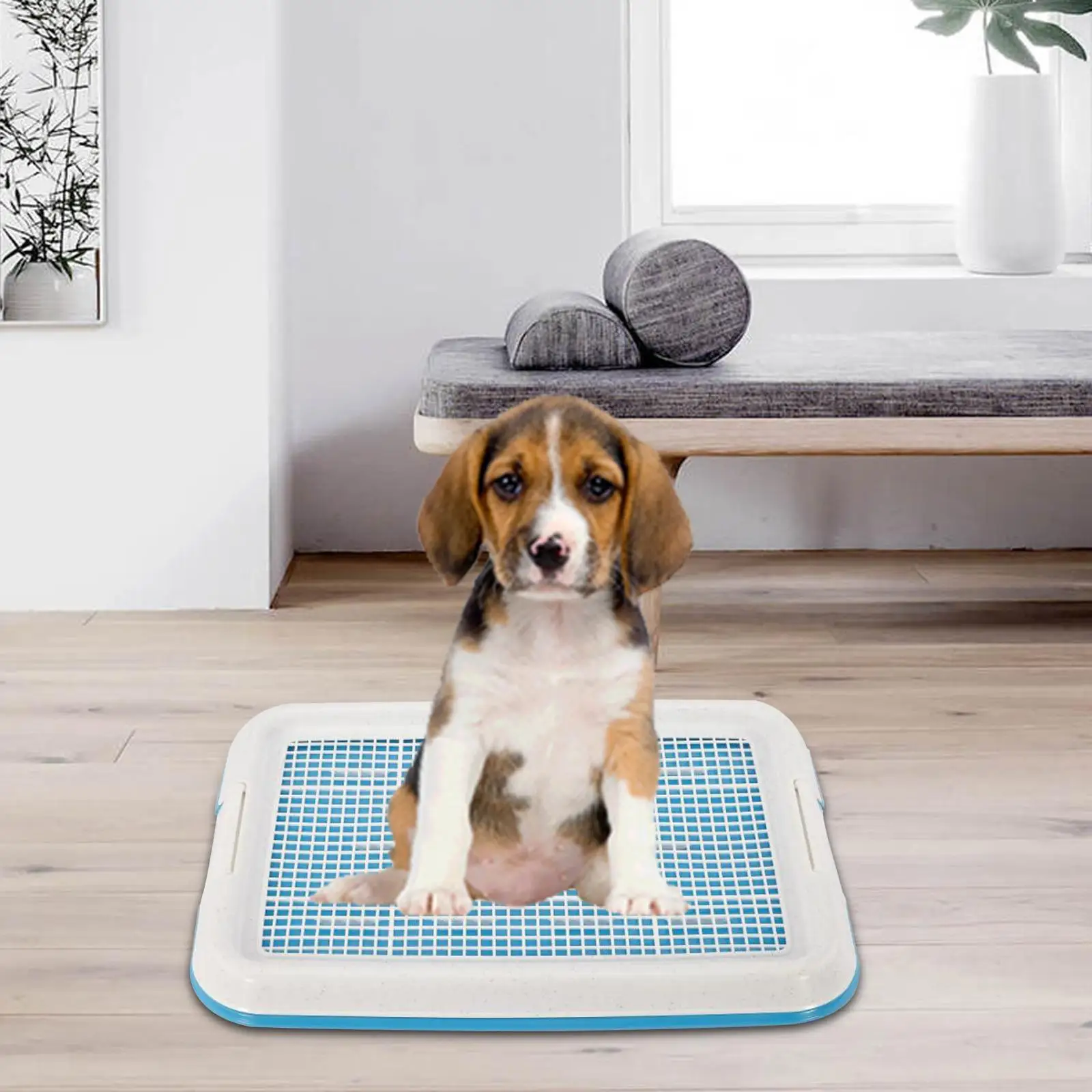 Dog Potty Training Tray for Small Size Dogs