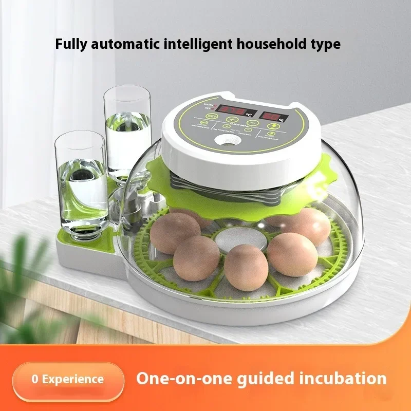Egg Incubator with Automatic Flipping Function, Temperature and Humidity Digital Control, Supporting 8 Eggs US Plug Cooking Tool