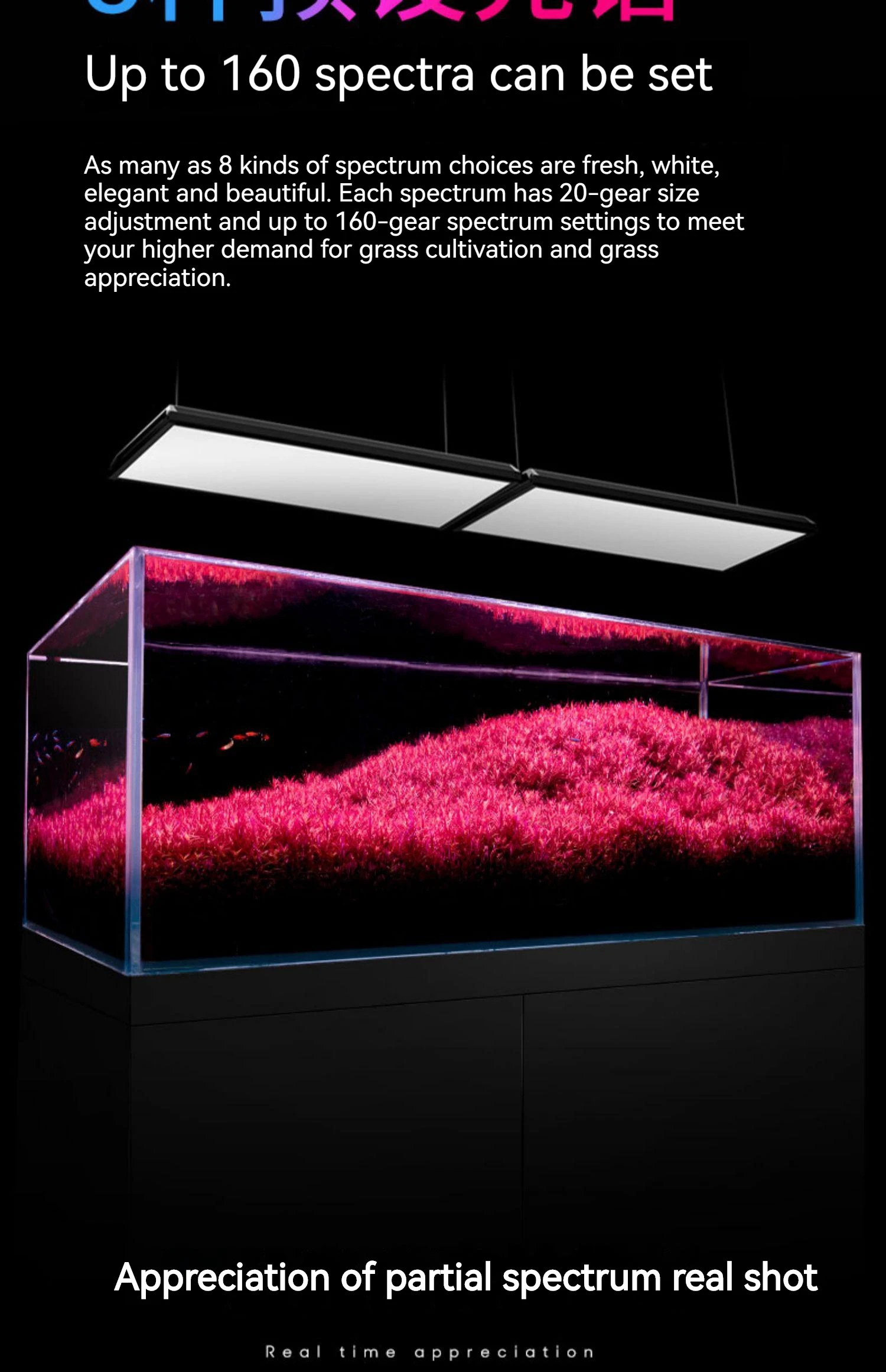 Netlea AT7S - AT6 PRO Light - Unlock The Beast – Aqua Rocks Colorado