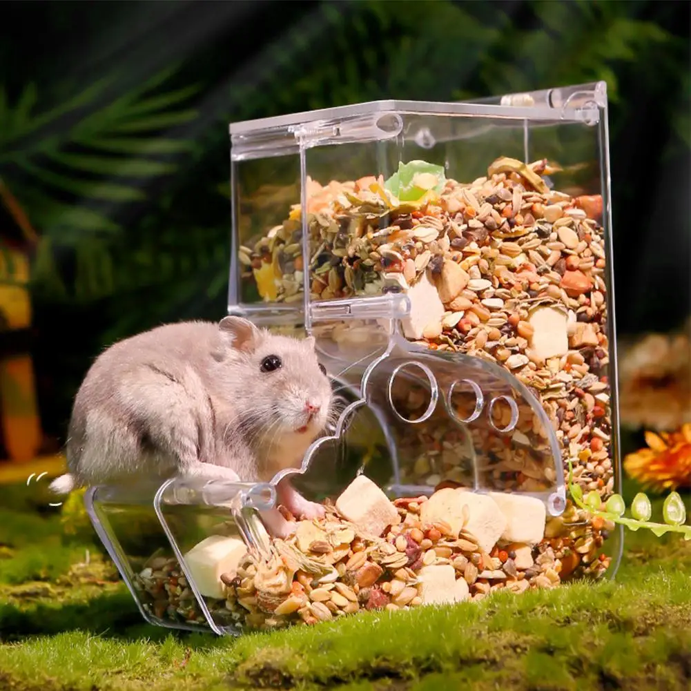 Pet Clear Automatic Feeder Food Dispenser Food Bowl Container For Hamster Chinchilla Rabbit Golden Bear pet food feeder cat food dispenser