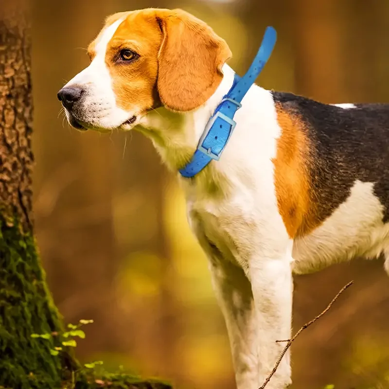 Waterproof Training Dog Collar 2