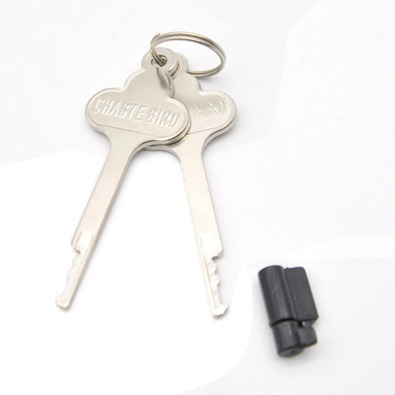 Sex Toy Chastity Cage Replacement Stealth Lock Male Cock Cage Lock Accessories Penis Ring Keys