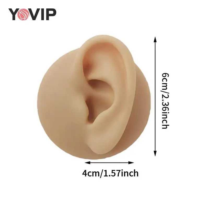 

1:1 Human Ear Model Tattoo Practice Soft Silicone Ear Model Jewelry Display Display Props Teaching Tools