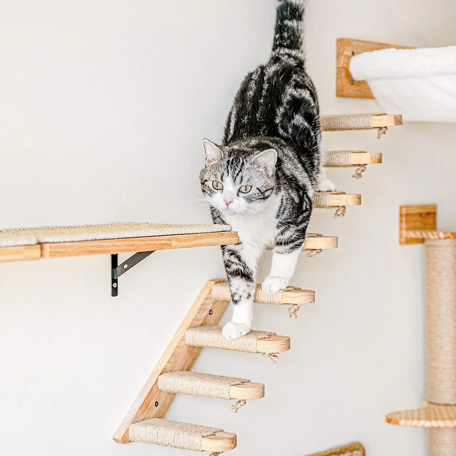 

Wall for Mounted Hammock Stairway 2 Cat Playing Perch Wooden And Pieces Climbing Bed Furniture Sleeping