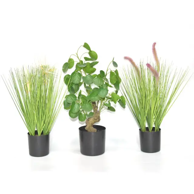 Iroda Dekoráció Otthoni Műanyag Fekete Növényi Edény Zamatos Doboz Virág Edények Ültető - Image 4