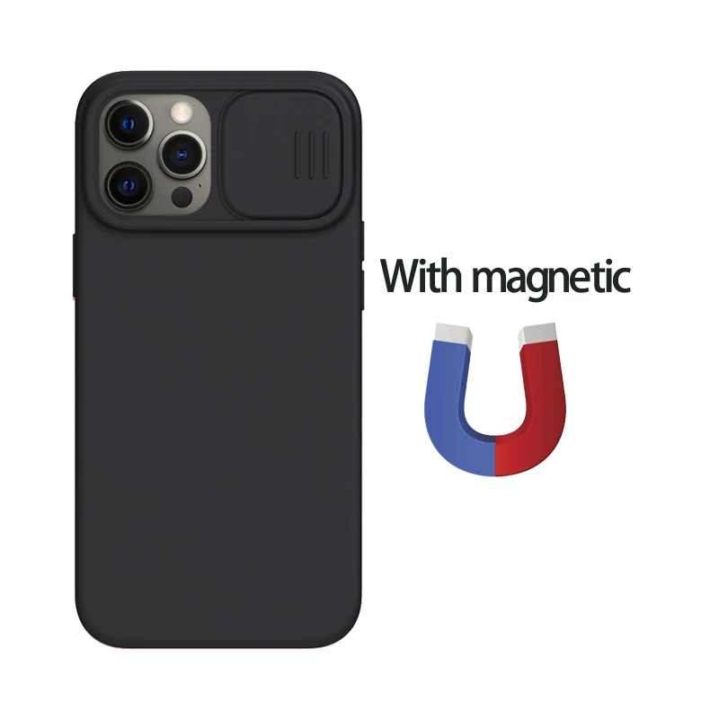 Magnetic Black