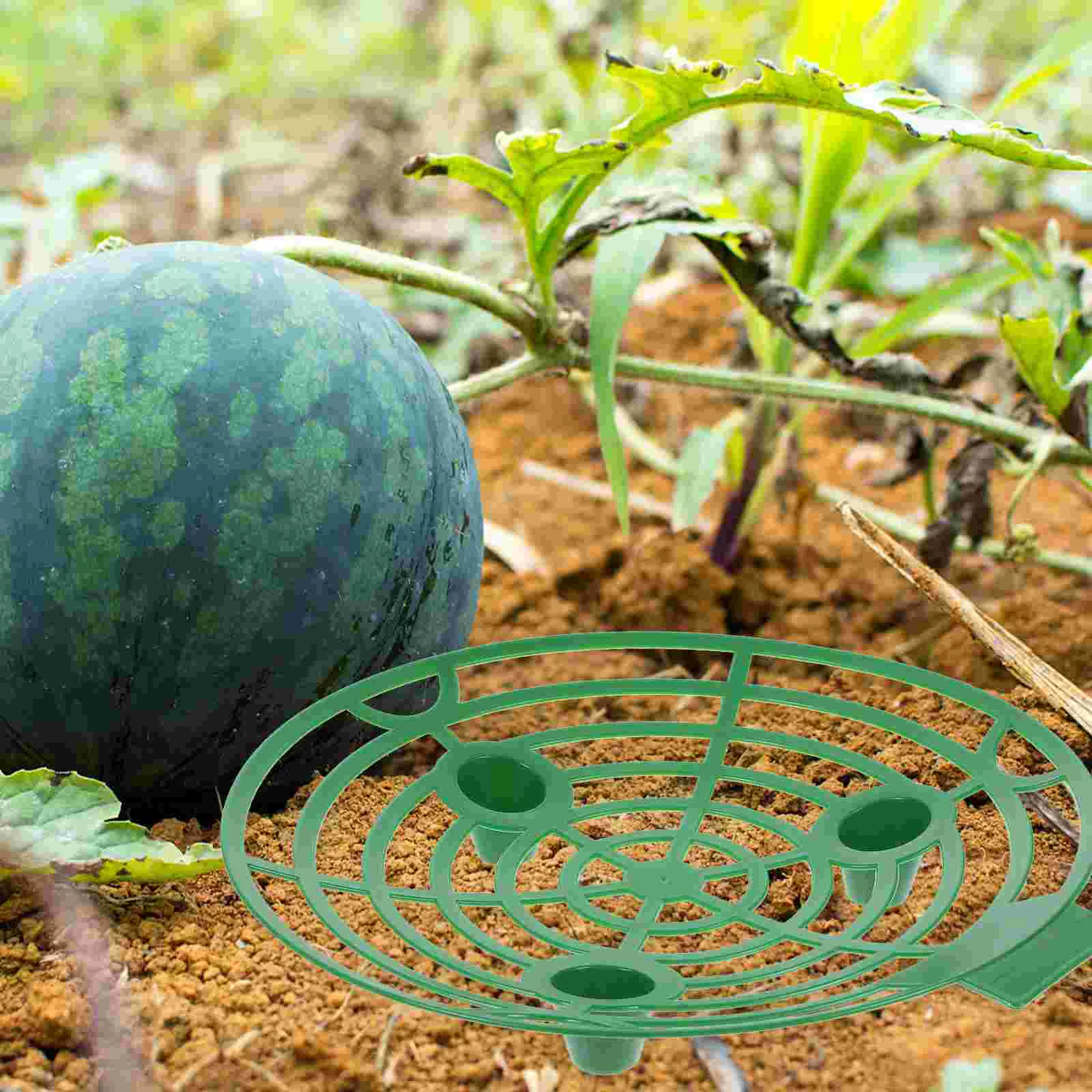 

10 Pcs Melons Strawberry Stand Pumpkin Planting Racks Plastic Supports Frames for Plants