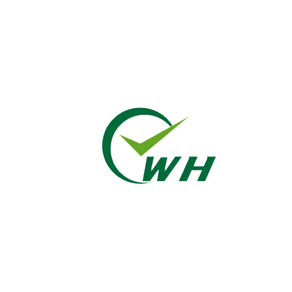 WH Auto Parts Store