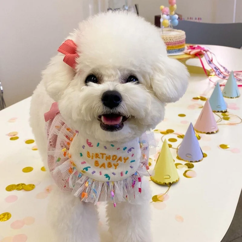 

Pet Cat Dog Birthday Party Hat Headscarf Set Cat Bibs with Adjustable Straps Suitable for Birthday Party Wedding New Years, S/M