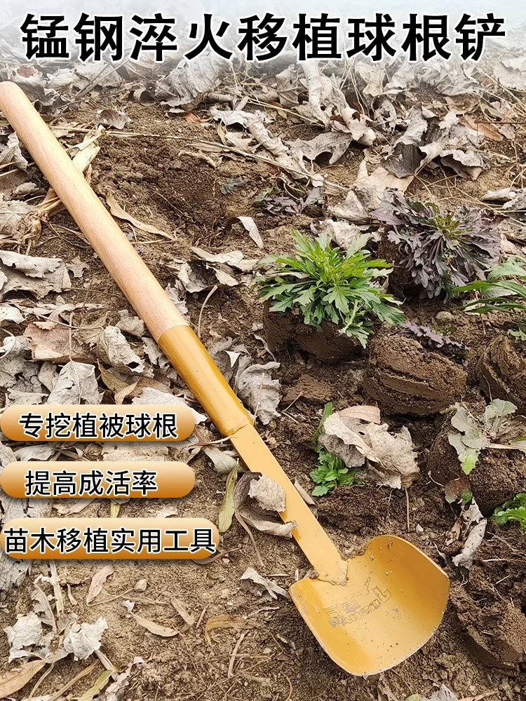*Agricultural bulb root transplant shovel Luoyang shovel shovel outdoor digging garden tools 2