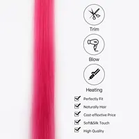Extensions de cheveux synthétiques colorées à clips, 5 pièces, Extensions de cheveux colorées arc-en-ciel pour femmes et filles 4
